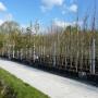containerveld
