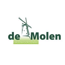 De Molen Groenvoorziening