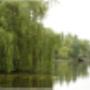 Partyboot De Koperen Hoorn