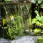 Waterval in Vorden