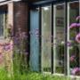 Verbena bonariensis voor raam