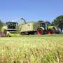Pleizier & Timmer BV