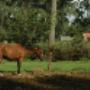 Bakker Rentmeesters & Makelaars BV