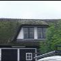 Aaftink Rietdekkersbedrijf