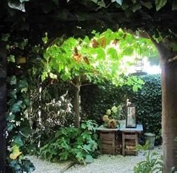 Rost Groen Tuinontwerp en Advies