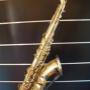 Bevers Saxofoons Wil