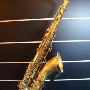 Bevers Saxofoons Wil