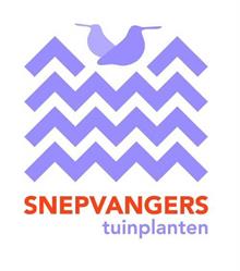 Snepvangers Tuinplanten
