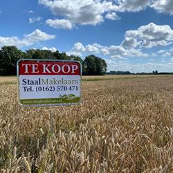 Staal Makelaars