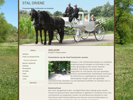 Stal Driene