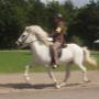 Doni op NK