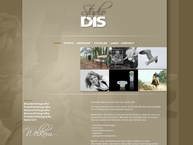 Studio D.i.s.