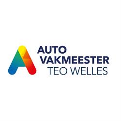 Autovakmeester Teo Welles