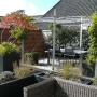 Terra Forma - Tuinontwerp en Beplanting