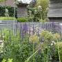 Terra Forma - Tuinontwerp en Beplanting