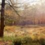 Natuurfotografie