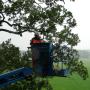 Boomverzorging Bouwmeester
