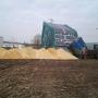 Boomverzorging Bouwmeester