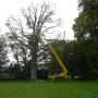 Boomverzorging Bouwmeester