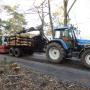 Boomverzorging Bouwmeester