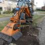 Boomverzorging Bouwmeester