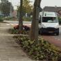 Ter Riele Hoveniersbedrijf BV