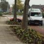Ter Riele Hoveniersbedrijf BV