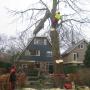 Tuinadvies Rob de Vries