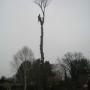 Tuinadvies Rob de Vries