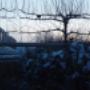 Tuinadvies Rob de Vries