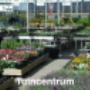 Tuincentrum Hoveniersbedrijf De Pas