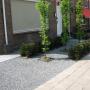 Tuin & Ontwerp Arthur Westerman