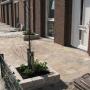 Tuin & Ontwerp Arthur Westerman