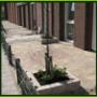 Tuin & Ontwerp Arthur Westerman
