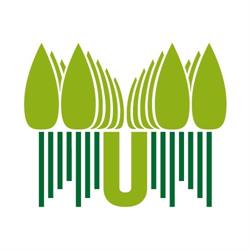 Boomkwekerij Udenhout