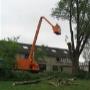 Boomverzorging M J van Asch