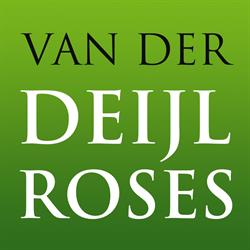 Van der Deijl Roses B.V.
