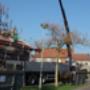 Gemert Transport S van