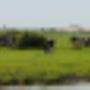Verhagen Groep