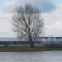 Herdenking Watersnoodramp2