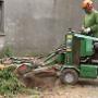 Boomverzorging & Landschapsonderhoud Verstappen VOF