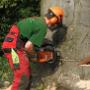 Boomverzorging & Landschapsonderhoud Verstappen VOF