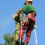 Boomverzorging & Landschapsonderhoud Verstappen VOF