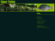 Vigour Fishion