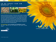 Viwin