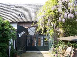 De Vleugelslag
