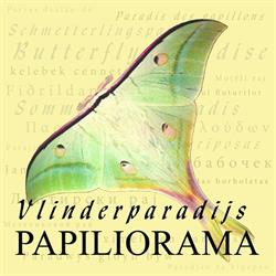 Vlinderparadijs Papiliorama