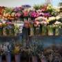 Seizoensbloemen op tafel