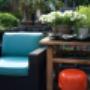 Zomer tuin achter de winkel