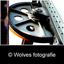 Wolves Fotografie